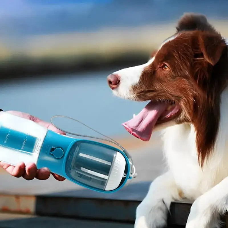 3 in 1 Dog Water Bottle
