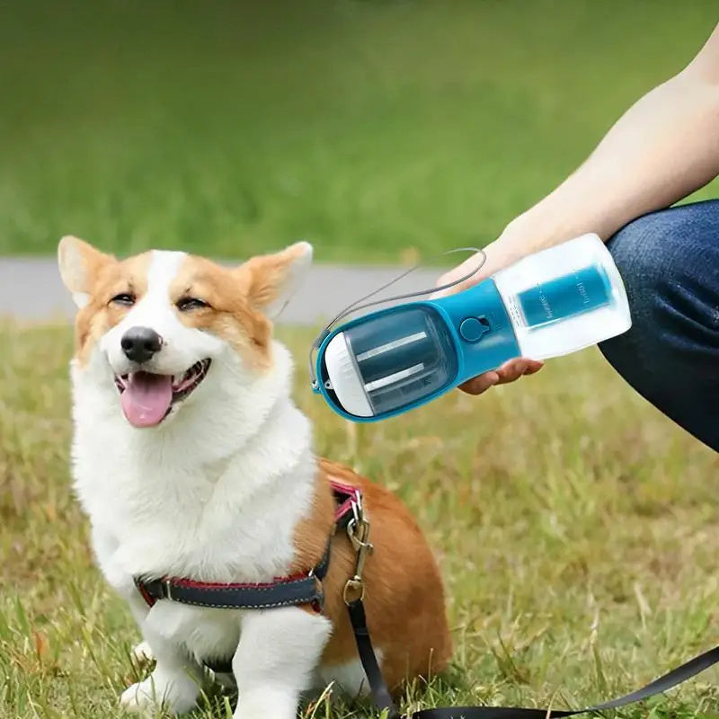3 in 1 Dog  Water Bottle