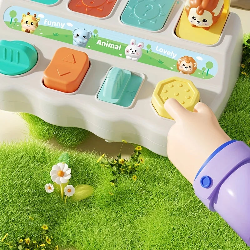 Montessori Pop up Animal Toy